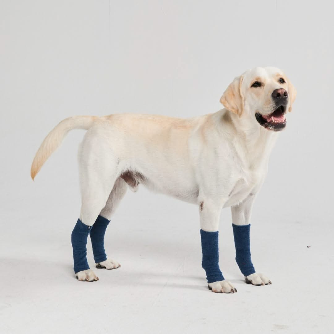 Stretchy Fleece Dog Leg Warmer Sleeves Navy SPARK PAWS