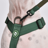 Green Harness