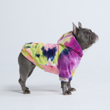 Velvet Dog Hoodie - Berry Lemonade