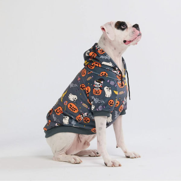 Halloween Dog Hoodie - Grey