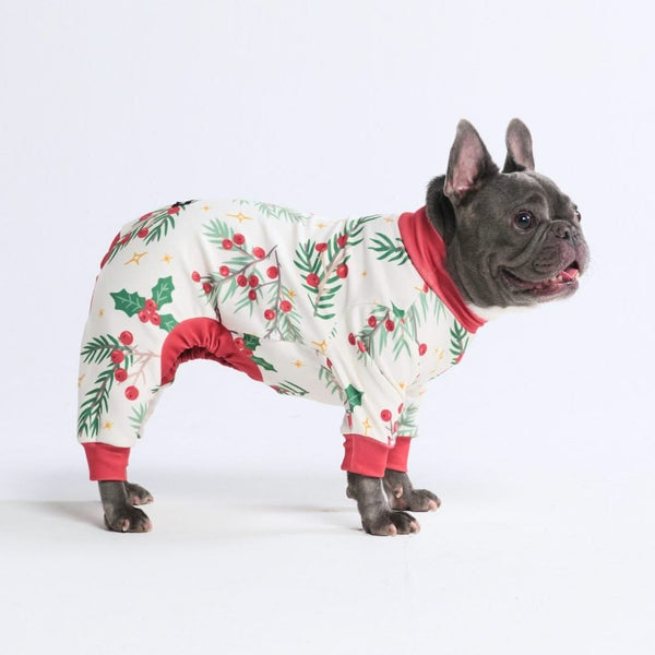 Dog Pajamas Onesies SPARK PAWS