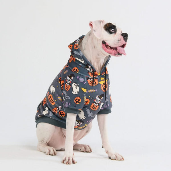 Halloween Dog Hoodie - Grey