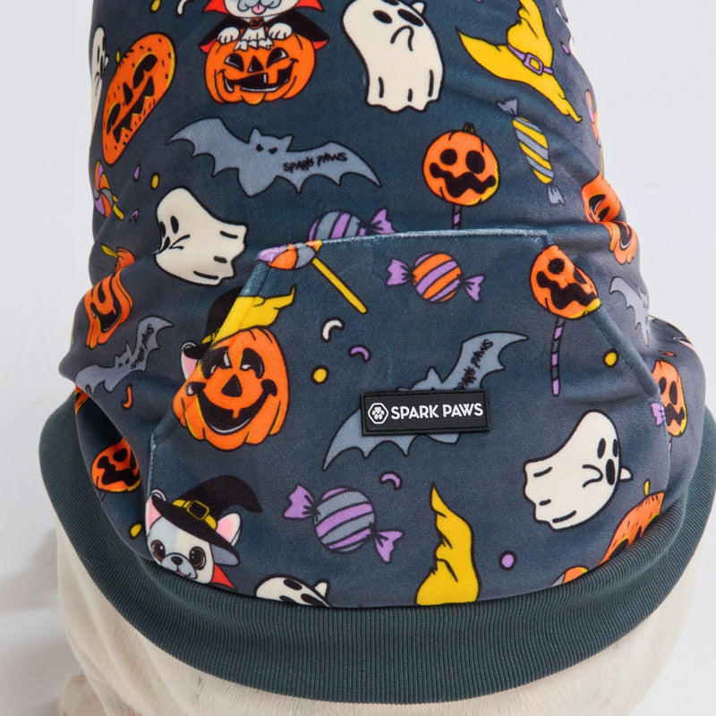 Halloween Dog Hoodie - Grey