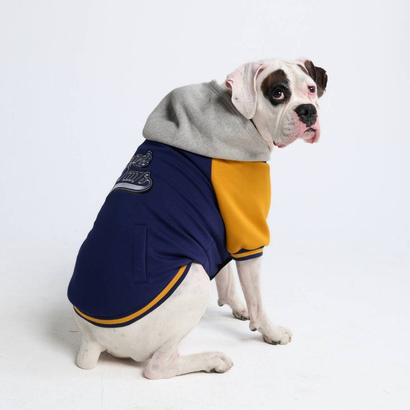 Blue Yellow Varsity Jacket