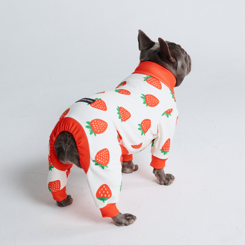 Dog Pajama - Strawberries