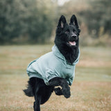 Essential Dog Hoodie - Teal