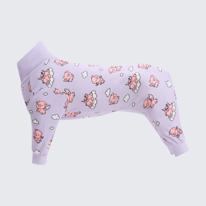 Dog Pajama - When Pigs Fly