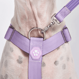 Lilac Harness