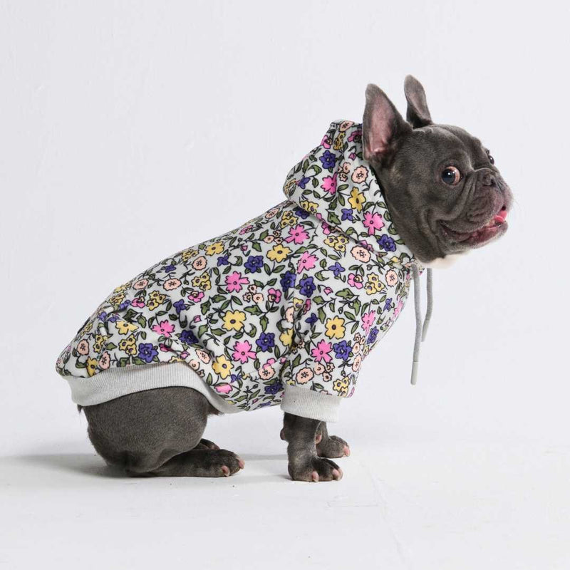 Vintage Flower Dog Hoodie - Light Grey