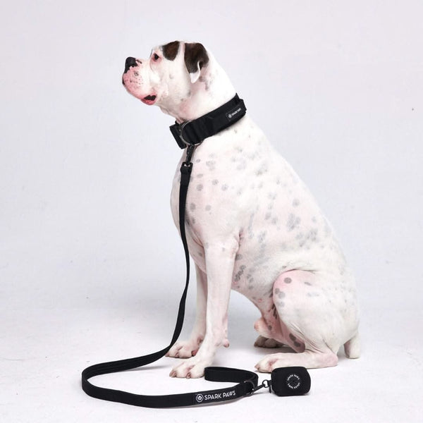 Leash and Poop Bag Holder Set - Black