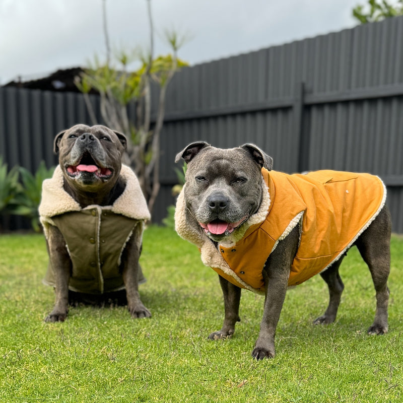 Workdog Insulated Utility Jacket - Brown