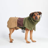 Dog Raincoat - Green Brown