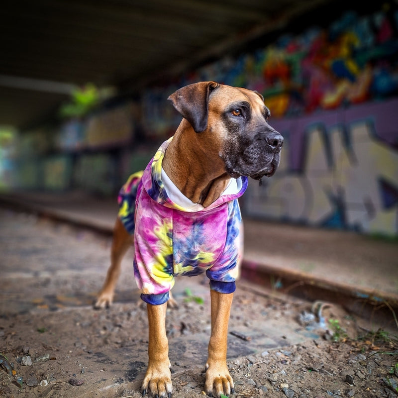 Velvet Dog Hoodie - Berry Lemonade