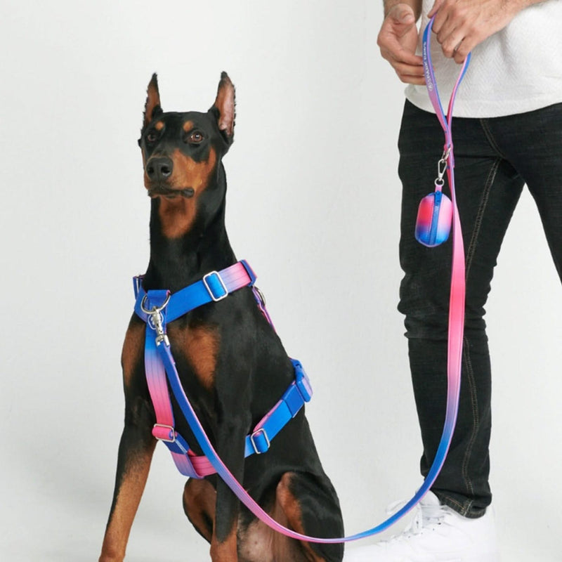 Leash and Poop Bag Holder Set - Snow Cone