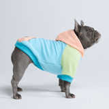 Jellybean Hoodie