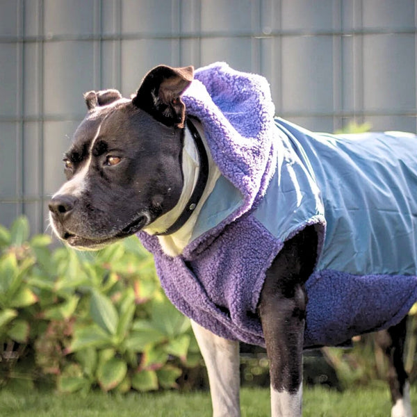 Winter Jacket Coats for Dogs Premium Vests and More SPARK PAWS