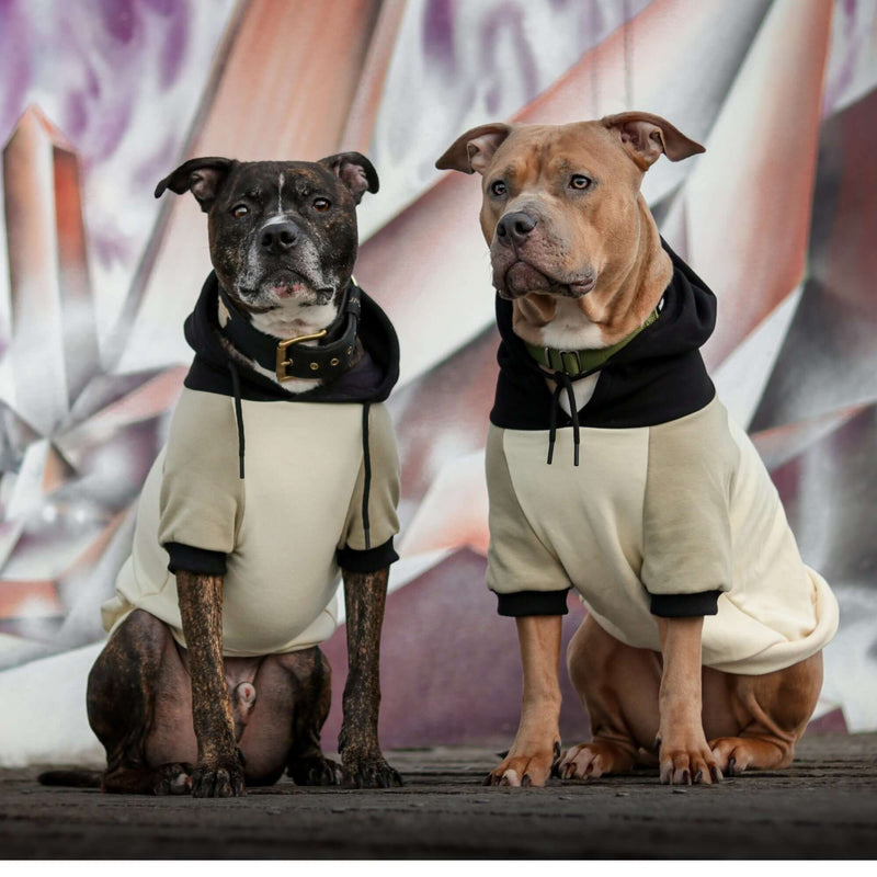 Color Block Dog Hoodies SPARK PAWS