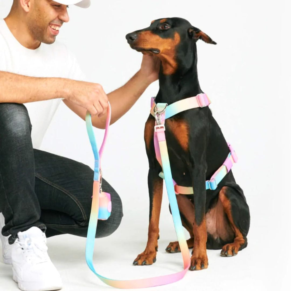 Comfort Control No Pull Dog Harness Set Pastel Icing SPARK PAWS