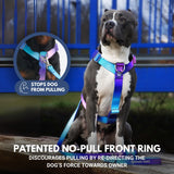 Comfort Control No-Pull Dog Harness - 90s Retro