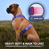 Comfort Control No-Pull Dog Harness - Snow Cone