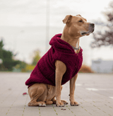 Maroon Sherpa Jacket