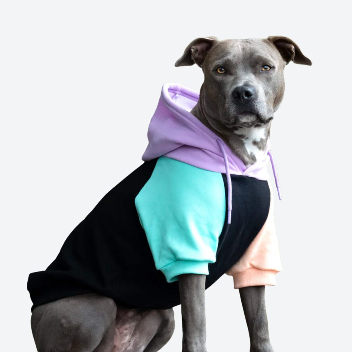 Dog Hoodies Sweatshirts Sweaters and Jumpers SPARK PAWS