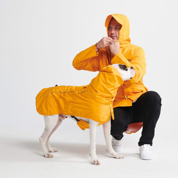 Raincoat for golden retriever best sale