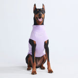 Sunblock Dog T-Shirt - Purple