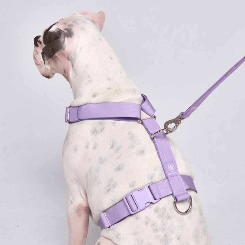 Comfort Control™ No-Pull Dog Harness - Lilac